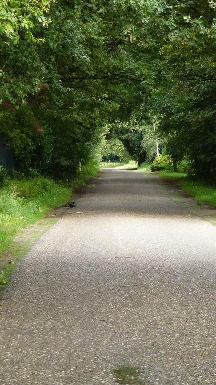 B&B Ferme Knaapen Neeritter Bagian luar foto